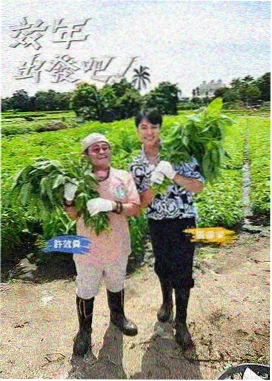 周末不打烊 综艺在线观看